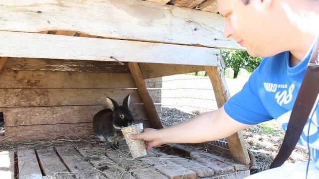 Сельские радости в кроличьем саду "Zaķīši" (#9 выпуск) смотреть онлайн