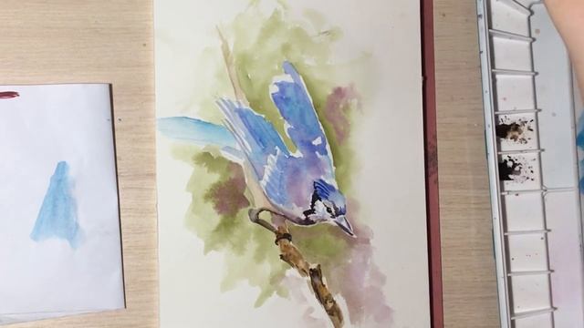 Птица акварелью/ Как рисовать акварелью смотреть онлайн