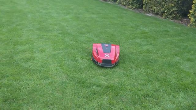 Ambrogio L35i Deluxe Kosiarka Automatyczna Pierwsze Minuty Pracy.