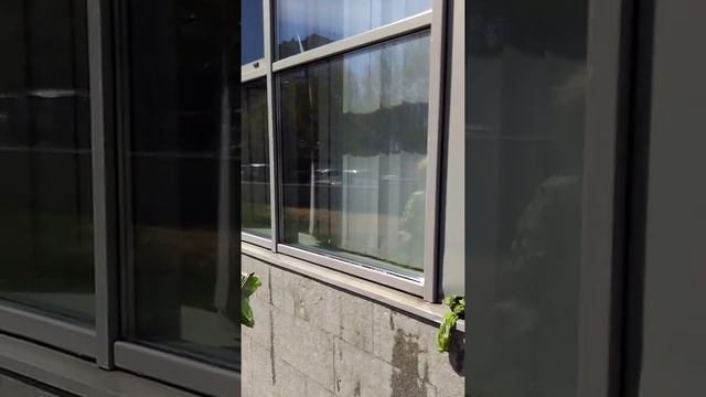 Мойка остекления ПФР на Сельскохозяйственной смотреть онлайн