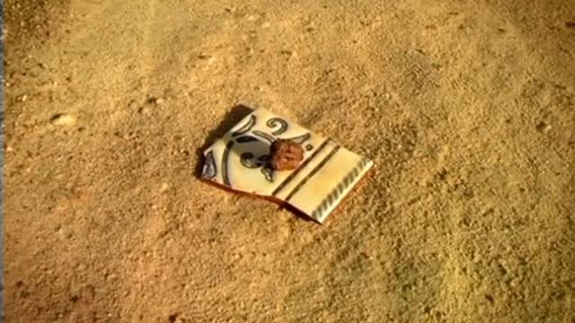 040 Добраться до ядрышка смотреть онлайн