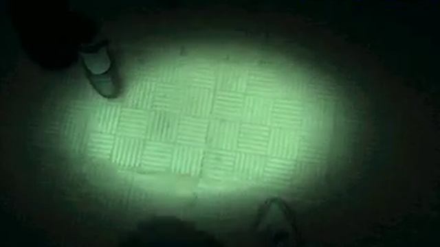 Мы ищем слендера в кустах / Sasha SayMeow смотреть онлайн