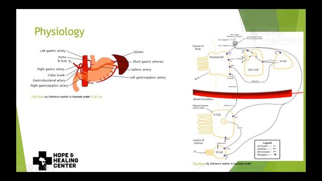 Surgical Management of Peptic Ulcers by Dr. Isaac Mubeezi смотреть онлайн