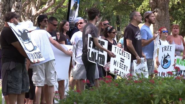 Борьба за освобождение косатки Лолиты продолжается