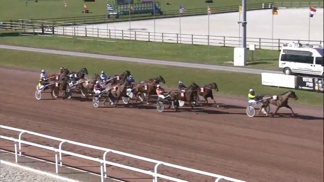 Hippodrome de Wallonie Mons (België) 05-03-2021 Selectieproef 3 Flyer de Crennes - Carlos de Soete смотреть онлайн