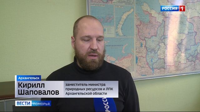 110 контейнеров для раздельного сбора отходов установили в областном центре смотреть онлайн