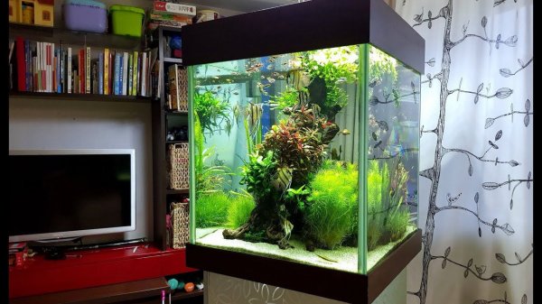 #Аквакубик... Новый