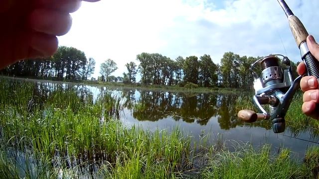 Ловля КРУПНОГО КАРАСЯ на ЗВЁЗДОЧКУ! | МИФ ИЛИ РЕАЛЬНОСТЬ??? смотреть онлайн