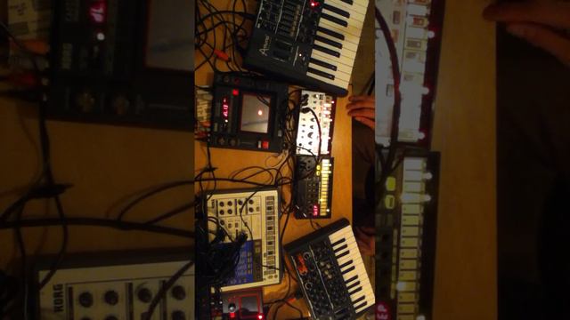 Electro Dub - microbrute, volca bass, beats, kp3 смотреть онлайн