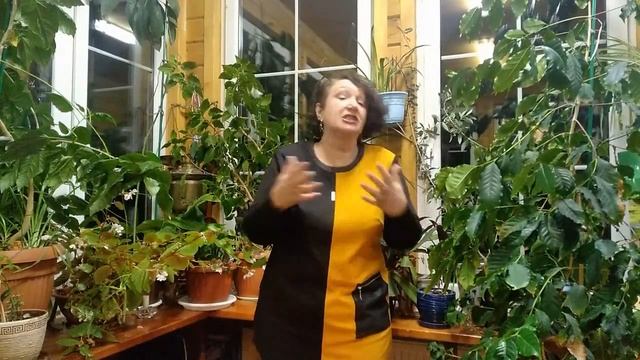 Урок №1. Hi! How are you? смотреть онлайн