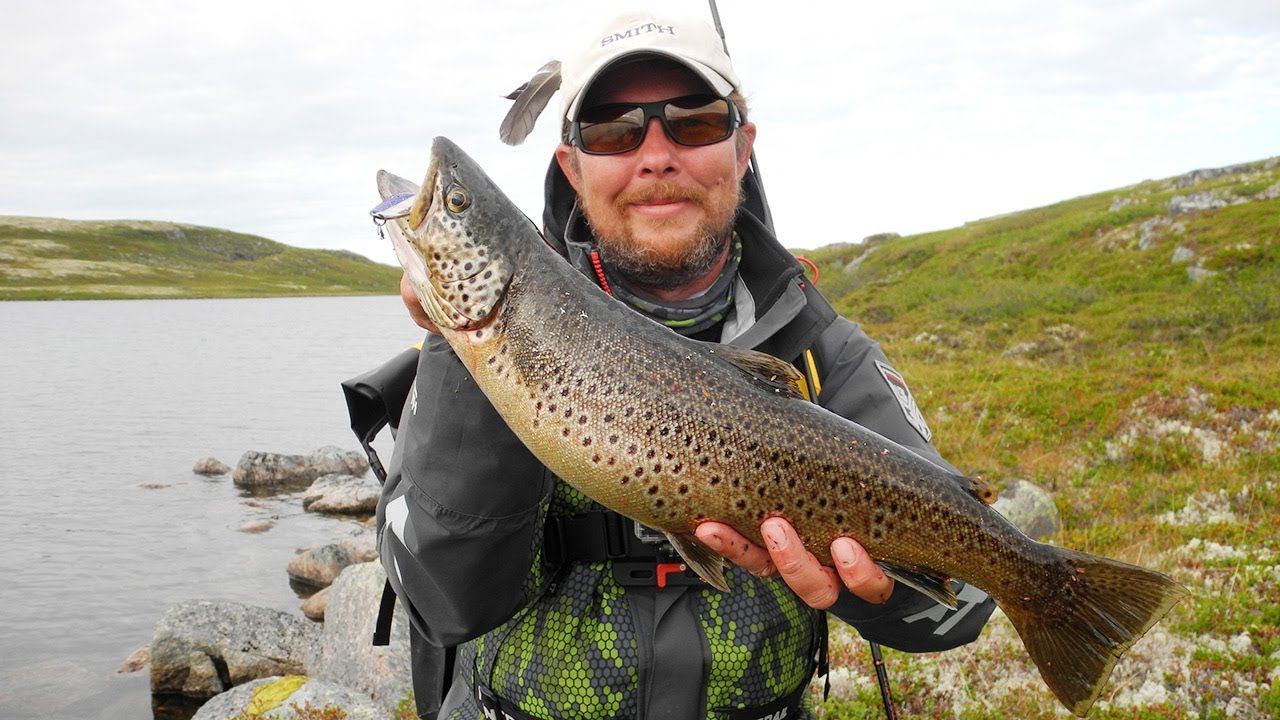 ТУНДРА раздаёт подарки! Куча поклёвок и БОНУС в конце! Рыбалка на Кольском смотреть онлайн