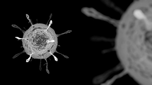 инжир смотреть онлайн