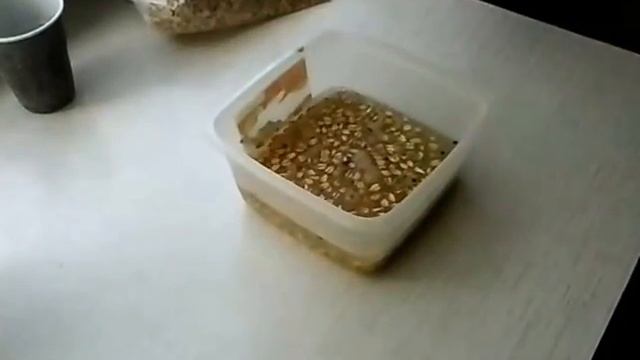 Приключения на Природе