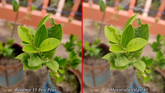 Realme 11 Pro Plus VS Motorola Edge 40 Camera Comparison | Realme 11 Pro Plus Camera, Video Test |
