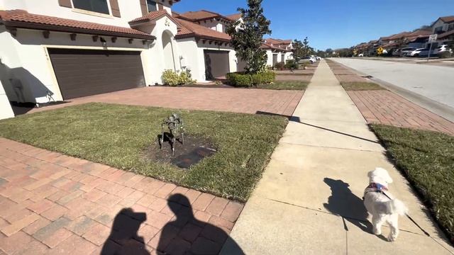 # 558 | США | ВЛОГ | СМОТРЮ НА СОЛНЦЕ | ДЕТИ ГОТОВЯТ ЧЕБУРЕКИ | ФЛОРИДА |Семейный канал USADAY |