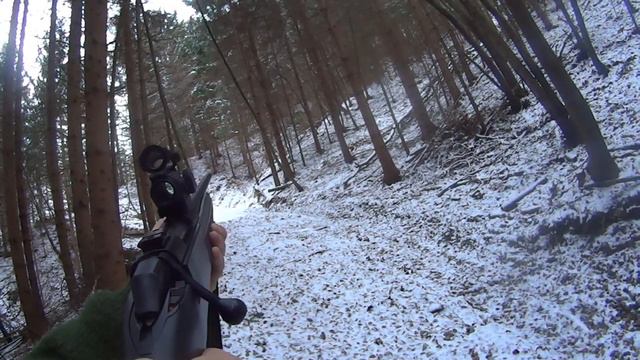 Wild Boar Hunting - Winchester XPR - Aimpoint H2 - LAPUA Mega 12g
