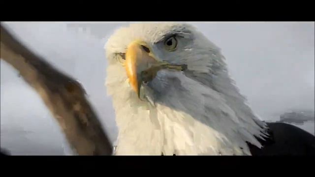 Моя нарезочка на Assassin`s Creed 3 смотреть онлайн