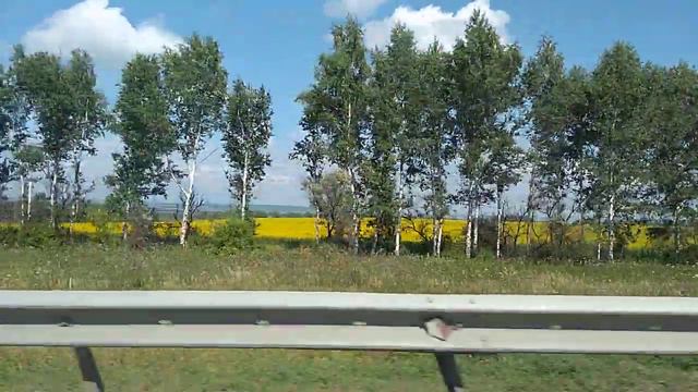 ПОДСОЛНУХИ смотреть онлайн