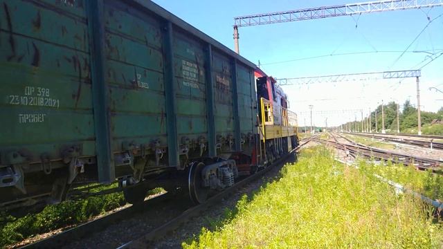"Необычный окрас" Тепловоз ЧМЭ3-3619 смотреть онлайн
