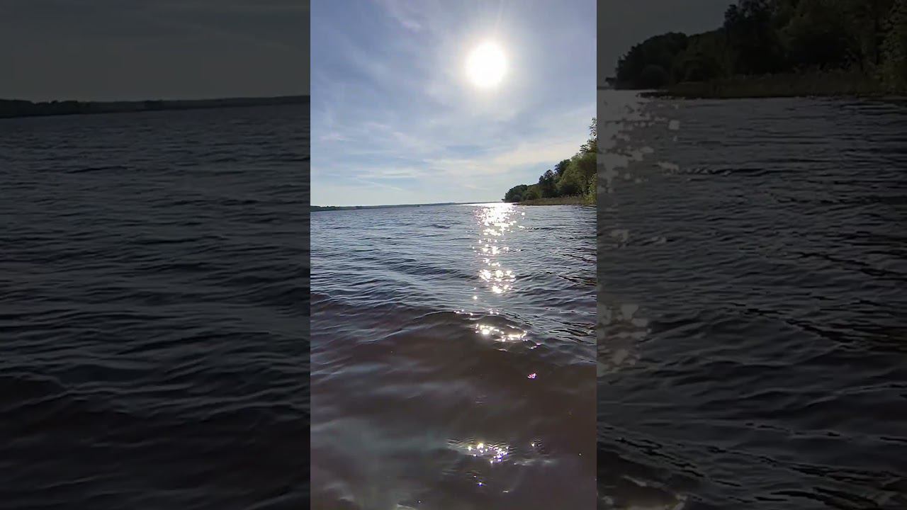Волга. #shortvideo #fishing #рыбалка #fishingvideo #природа #fish #весна смотреть онлайн