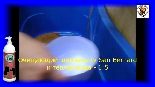 THOR - Как мыть собаку? Использование маски. Мастер класс 2 - Кокер-Спаниель смотреть онлайн