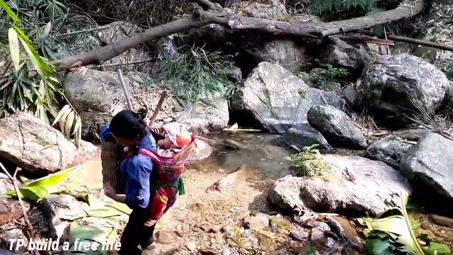 My mother and I go to catch stream fish, dig bamboo shoots, boil them, pick them up смотреть онлайн