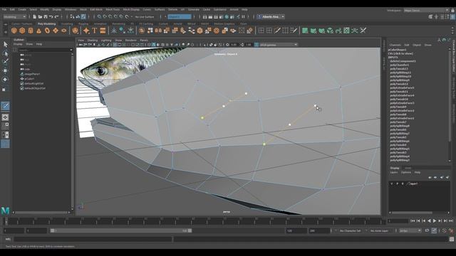 Maya Fish Tutorial Part 1 Modeling