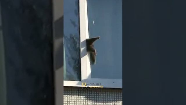 НЕ ОТКРЫВАЙТЕ ОКНО НА МИКРОПРОВЕТРИВАНИЕ! смотреть онлайн