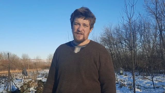 Как сажать картошку зимой смотреть онлайн