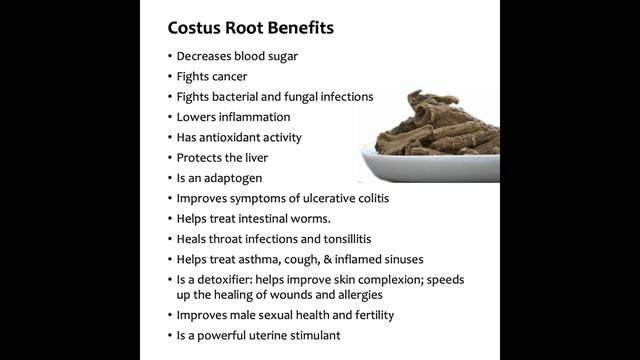 Costus Root / Indian Costus / القسط الهندي