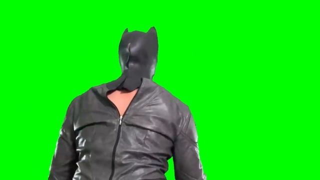 Goose Wayne Batman Ultra Green Screen Assets смотреть онлайн