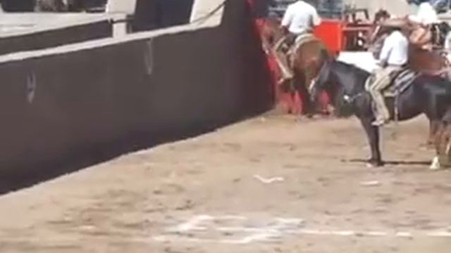 Benito najera coleando en pinos suarez durango смотреть онлайн