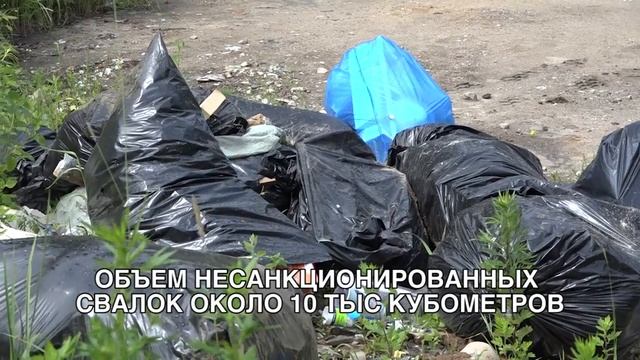 Жители начали охоту на организаторов свалок в Солнечногорском районе смотреть онлайн