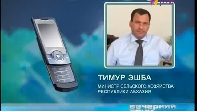 Как правильно выбрать мандарины в Сочи смотреть онлайн