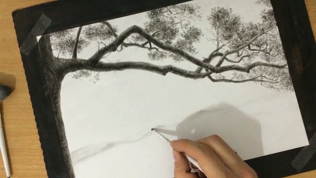 How to Draw Tree Branches - Narrated Tutorial смотреть онлайн