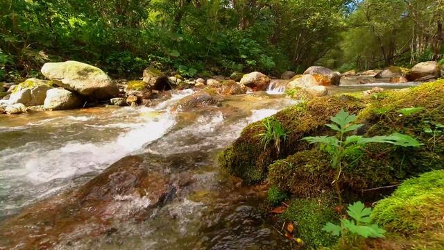 ? Сольфеджио 741 Гц ~ Удаляет токсины и негатив. Музыка для медитации. смотреть онлайн