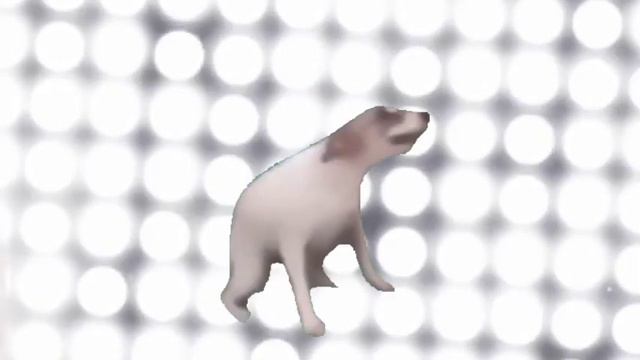 Собака флексит под POPSTAR смотреть онлайн