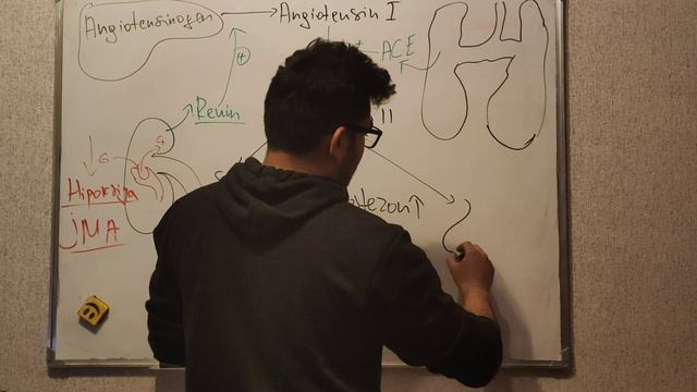 Antihipertenziv dərmanlar 1. hissə Farmakologiyadan derslere yazılmaq üçün: +994552265318 смотреть онлайн
