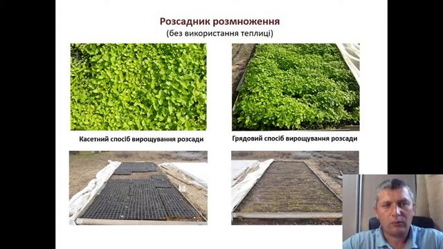 Розсадний спосіб розмноження лікарських рослин смотреть онлайн