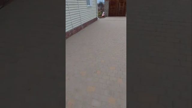 укладка тротуарной плитки в Ростове-на-дону. смотреть онлайн