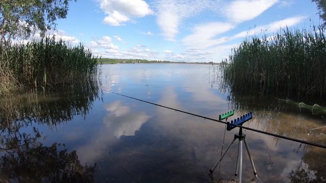 Ловля на ФИДЕР. Фидер. Фидерная рыбалка. Подводные съемки. смотреть онлайн
