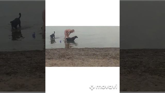 Опять на море-океан👍😅 смотреть онлайн