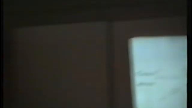 Вогралик ВГ 1995