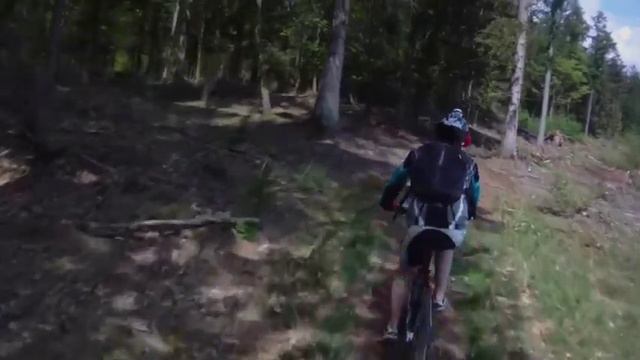MTB Route Appelscha смотреть онлайн