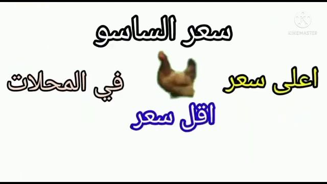 اسعار الفراخ البيضاء اليوم اسعار الدواجن اليوم الاثنين ٣٠-١-٢٠٢٣ جمله وقطاعي في مصر смотреть онлайн