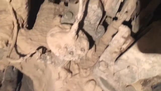 Обзор Зил 131 снизу смотреть онлайн