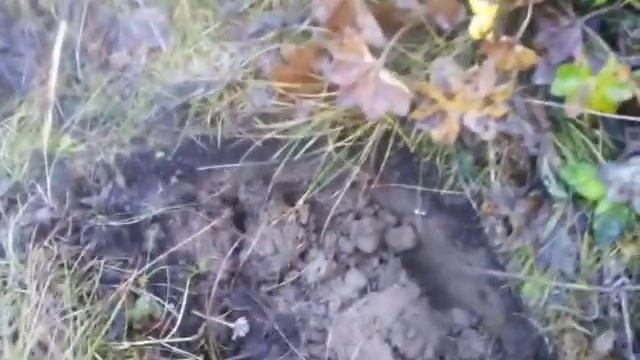 КОПАЮ ЖЕЛЕЗО ТОЖЕ НЕ ПЛОХО ЧАСТЬ 2 смотреть онлайн