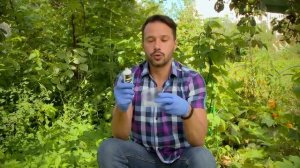 Как избавиться от кротов на участке самостоятельно. Средство от кротов, землероек