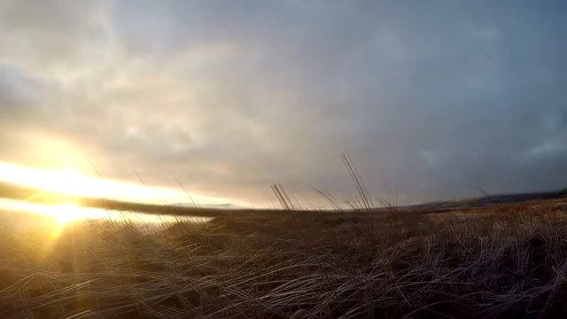 охота на уток в США шт. Орегон №2 смотреть онлайн