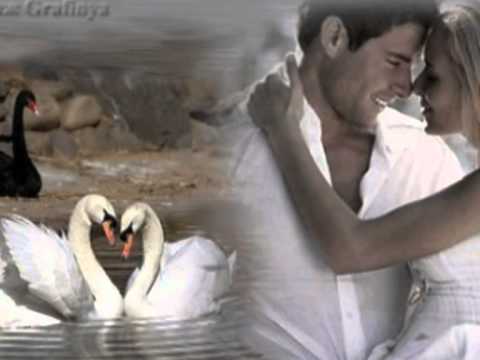 Два Белых Лебедя ... Владимир Захаров ... смотреть онлайн